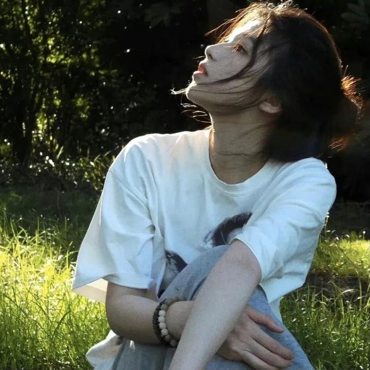 追凶记